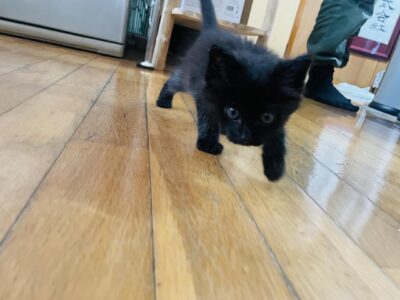 IMG_6618.jpeg