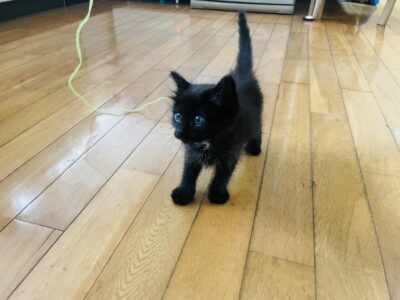 IMG_6619.jpeg